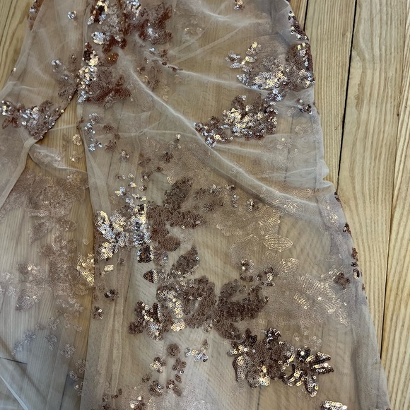Stunning Rose Gold Sheer Sequin Lace Dress - Picture 4 of 5